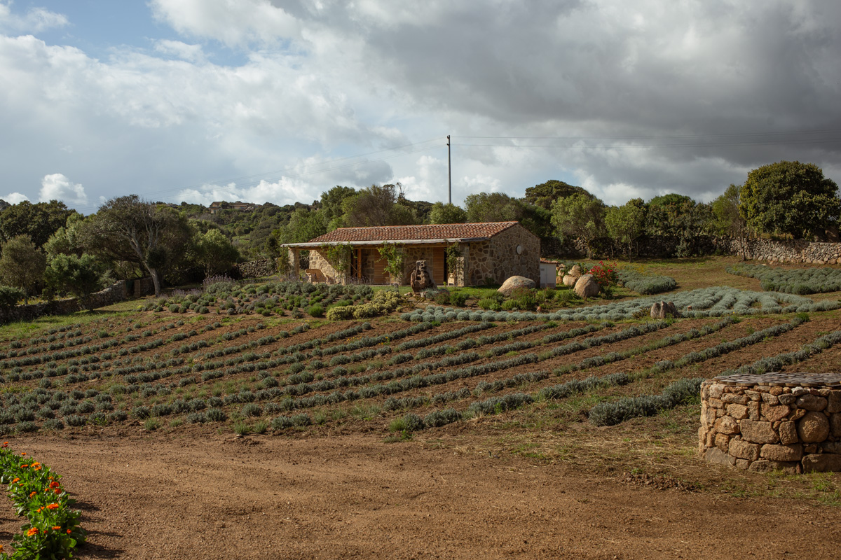 a farmland with a stone house in arzachena in northern sardinia